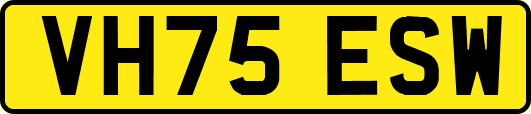 VH75ESW
