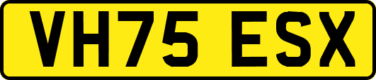 VH75ESX