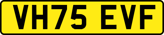 VH75EVF