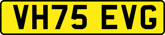 VH75EVG