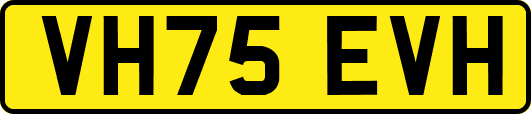 VH75EVH