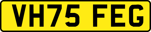 VH75FEG