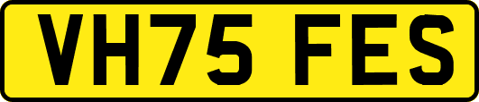VH75FES