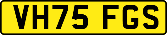 VH75FGS