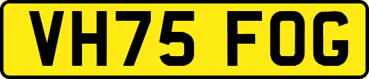 VH75FOG