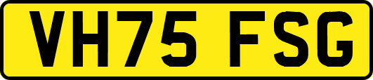 VH75FSG