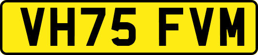VH75FVM