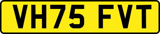 VH75FVT