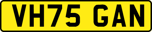 VH75GAN
