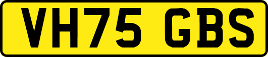 VH75GBS