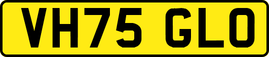 VH75GLO