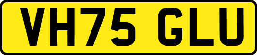 VH75GLU
