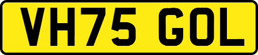 VH75GOL