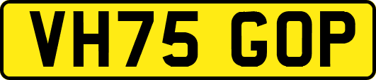 VH75GOP