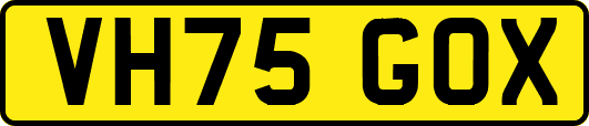 VH75GOX