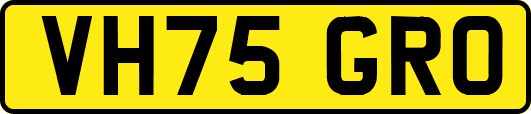 VH75GRO