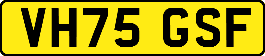 VH75GSF