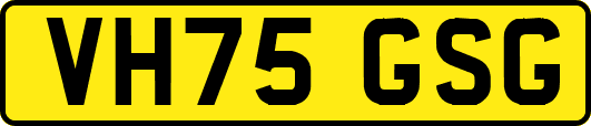VH75GSG