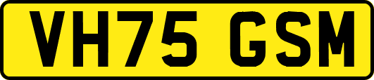 VH75GSM