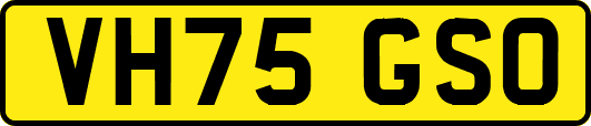 VH75GSO