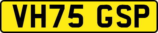 VH75GSP