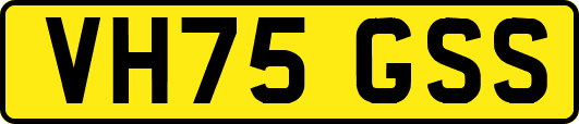 VH75GSS