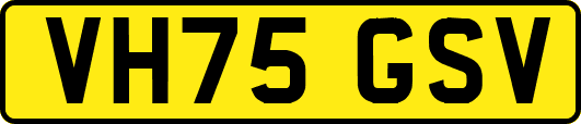 VH75GSV