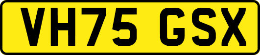 VH75GSX