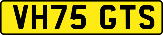 VH75GTS