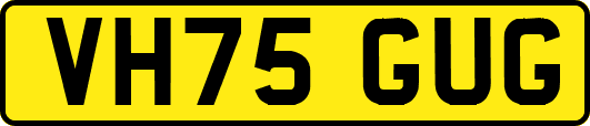VH75GUG