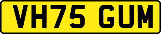 VH75GUM