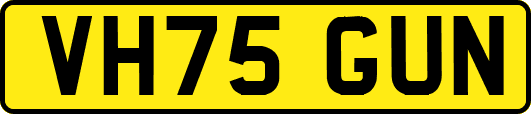 VH75GUN