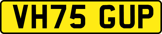 VH75GUP