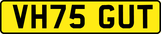 VH75GUT