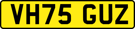 VH75GUZ