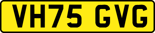 VH75GVG