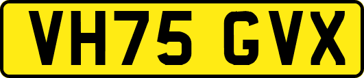 VH75GVX