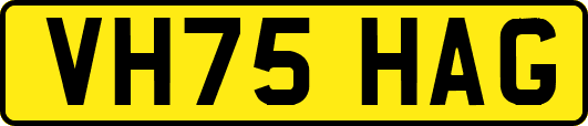 VH75HAG