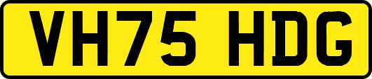 VH75HDG