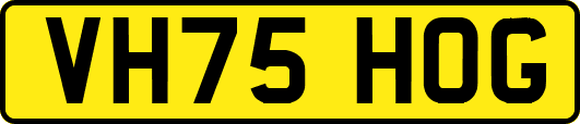 VH75HOG