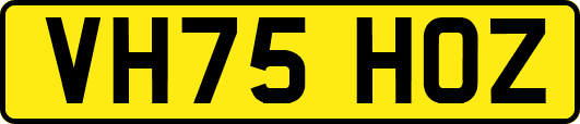 VH75HOZ