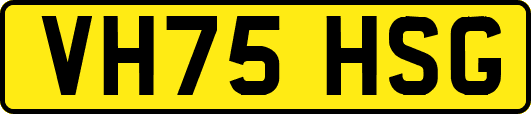 VH75HSG