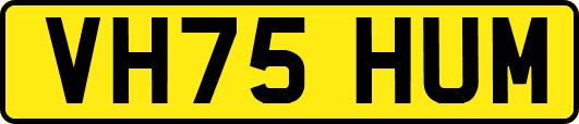 VH75HUM
