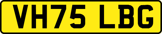 VH75LBG