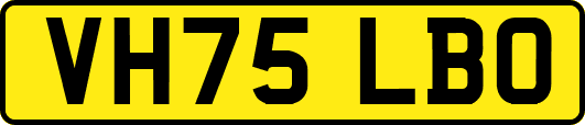 VH75LBO