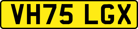 VH75LGX