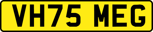 VH75MEG