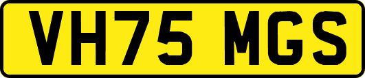VH75MGS