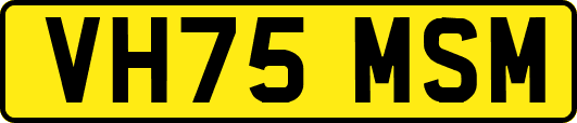 VH75MSM