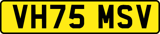 VH75MSV
